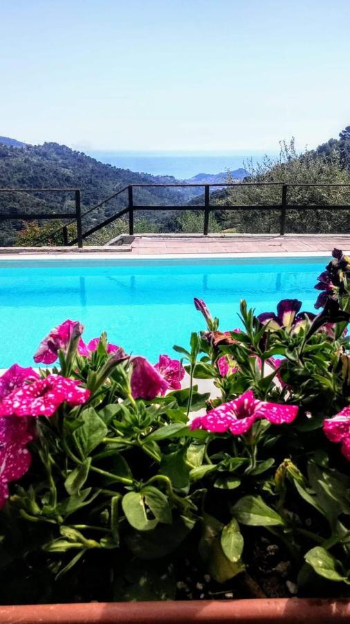 Agriturismo Osteria Du Barba Pe' - Casa Cassini Bordighera Eksteriør bilde